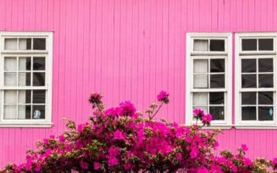 Gewaltfreie Kommunikation – Worte als Fenster