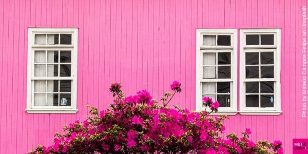 Gewaltfreie Kommunikation – Worte als Fenster